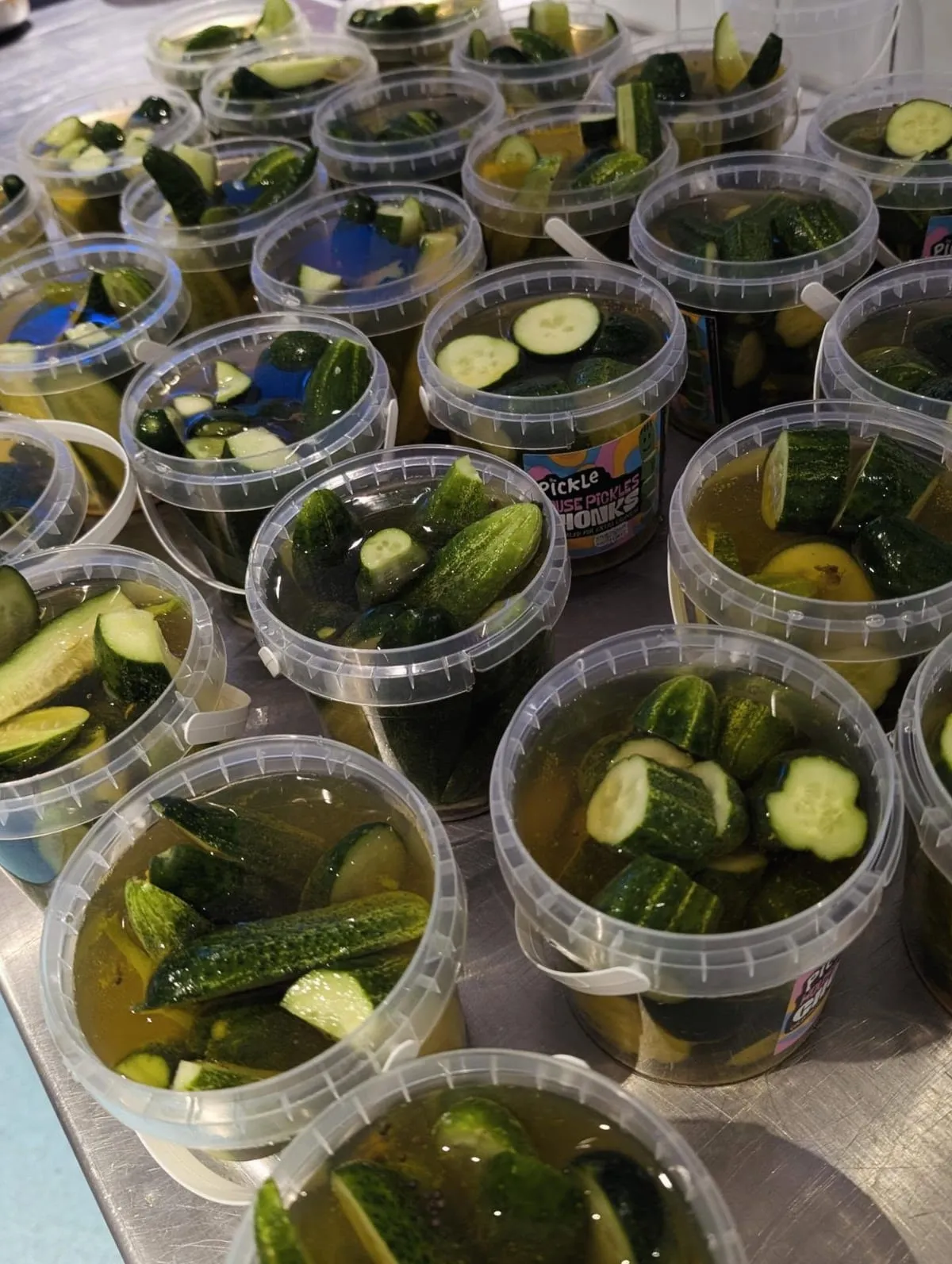 Fresh cucumbers in brine tubs being pickled at The Pickle Kemptown